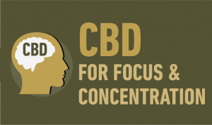 CBD FOR FOCUS AND CONCENTRATION