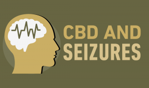 CBD AND SEIZURES