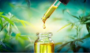 CBDA vs CBD: Comparing the Two Cannabinoids And Their Benefits